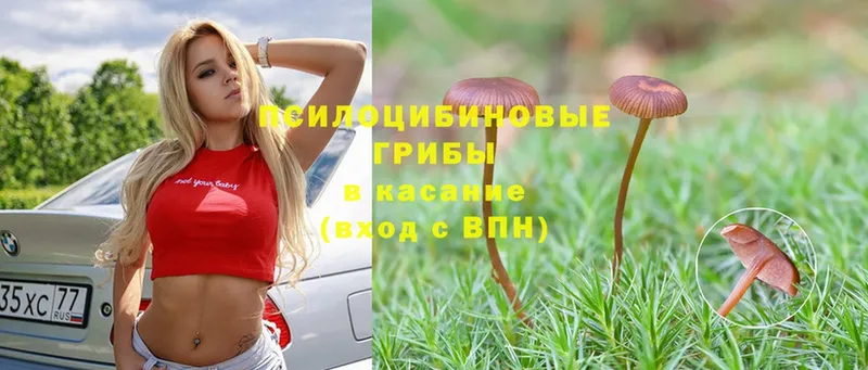 цены   Свободный  Галлюциногенные грибы MAGIC MUSHROOMS 